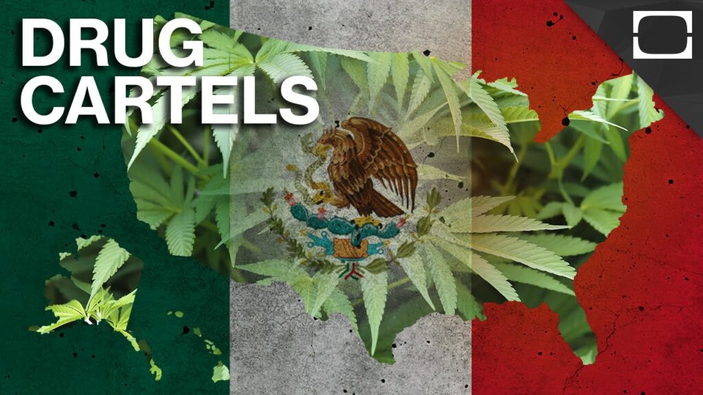 Legal Marijuana Succeeds In Combating Mexican Cartels