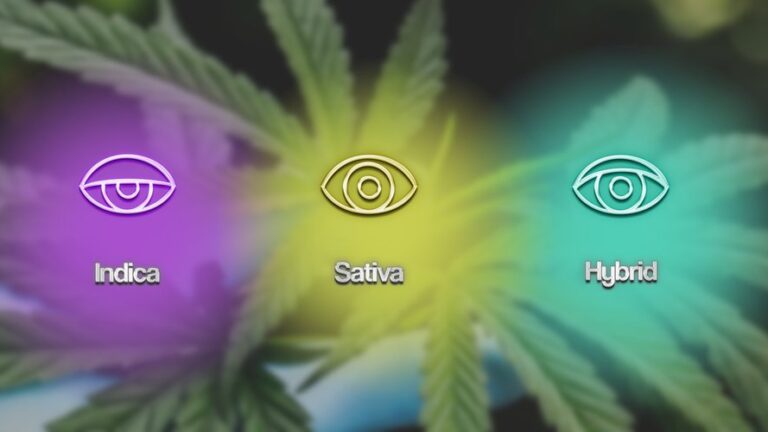 The Difference Between Cannabis Strains