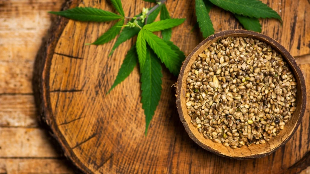 Cannabis-seeds