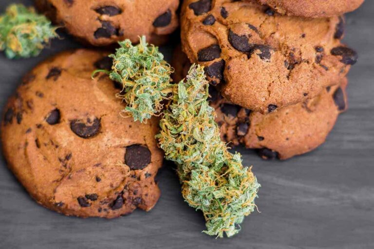 Calculate THC Dosage In Marijuana Recipes