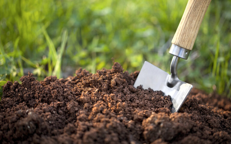 Best soil for cannabis