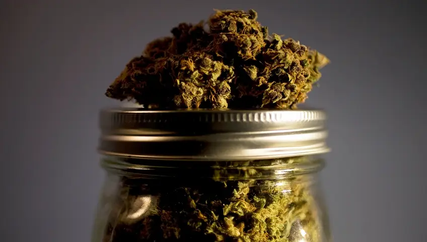 Provincial Cannabis Laws