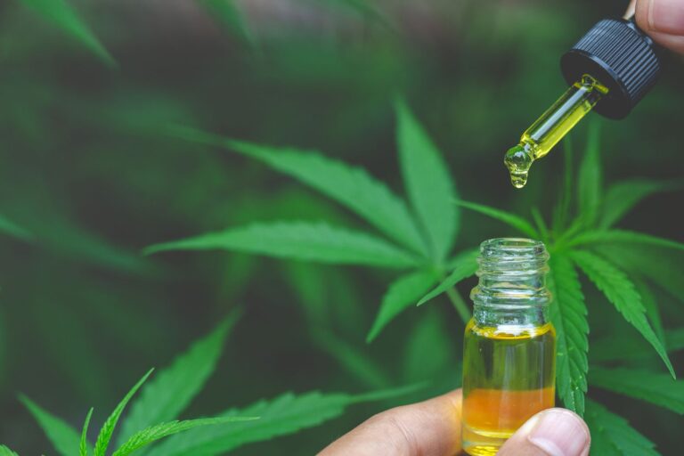 Sustainable Cannabis Cultivation Eco-Friendly Practices for Home Growers