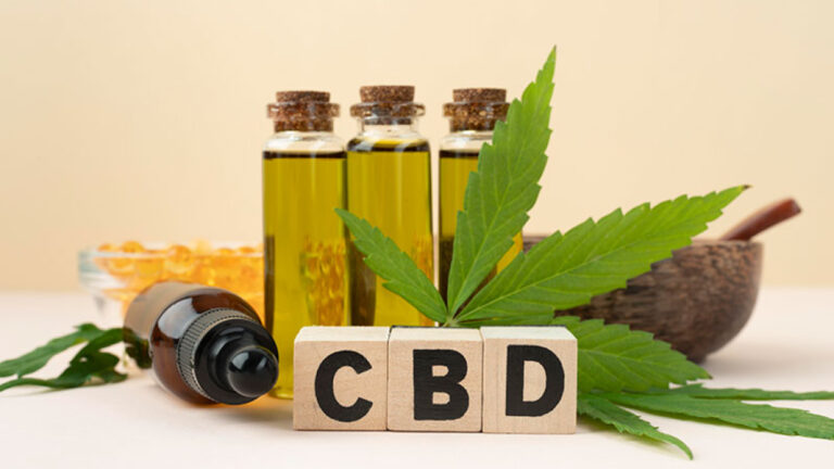 Cannabis Affects the Brain and Body
