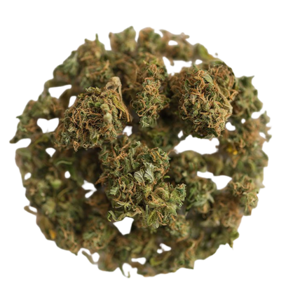 cannabis guide